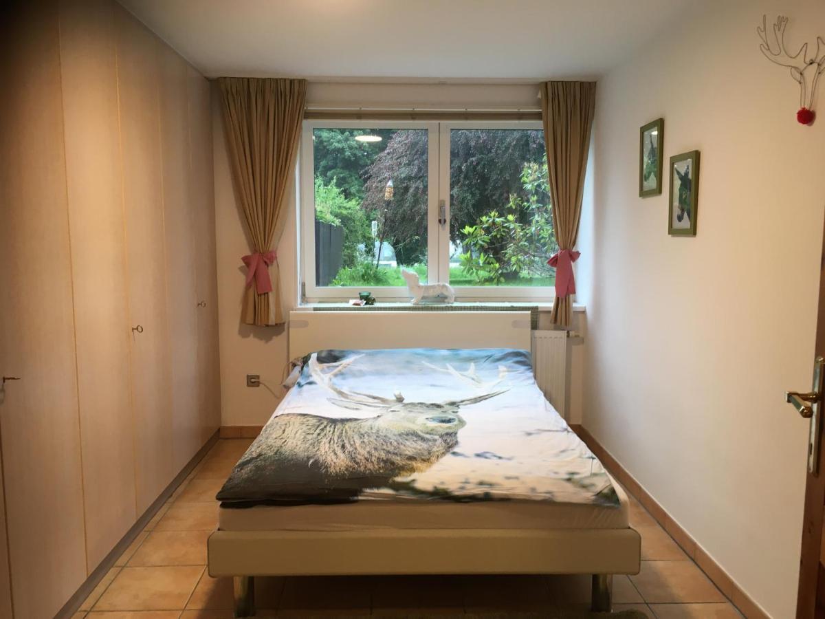 Naturforsthaus Ferienwohnung Fuer Hunde- Und Tierverbundene Menschen Preitenegg Exteriör bild