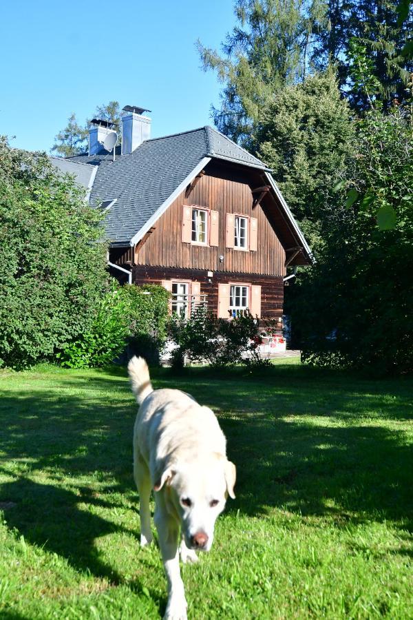Naturforsthaus Ferienwohnung Fuer Hunde- Und Tierverbundene Menschen Preitenegg Exteriör bild